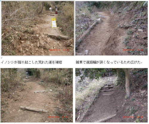 自然保護部森守ニュ-ス 稲妻階段補修 (市ケ原~麻耶天狗道分岐間)