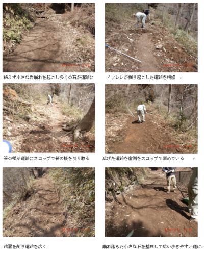 自然保護部森守ニュ-ス八洲嶺第2堰堤付近道路補修 (植物園東門~桜谷間)