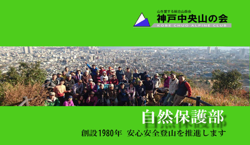 自然保護部