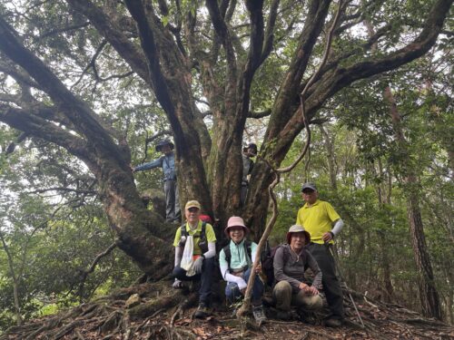 06/25（水） 六甲山系 高尾山739m