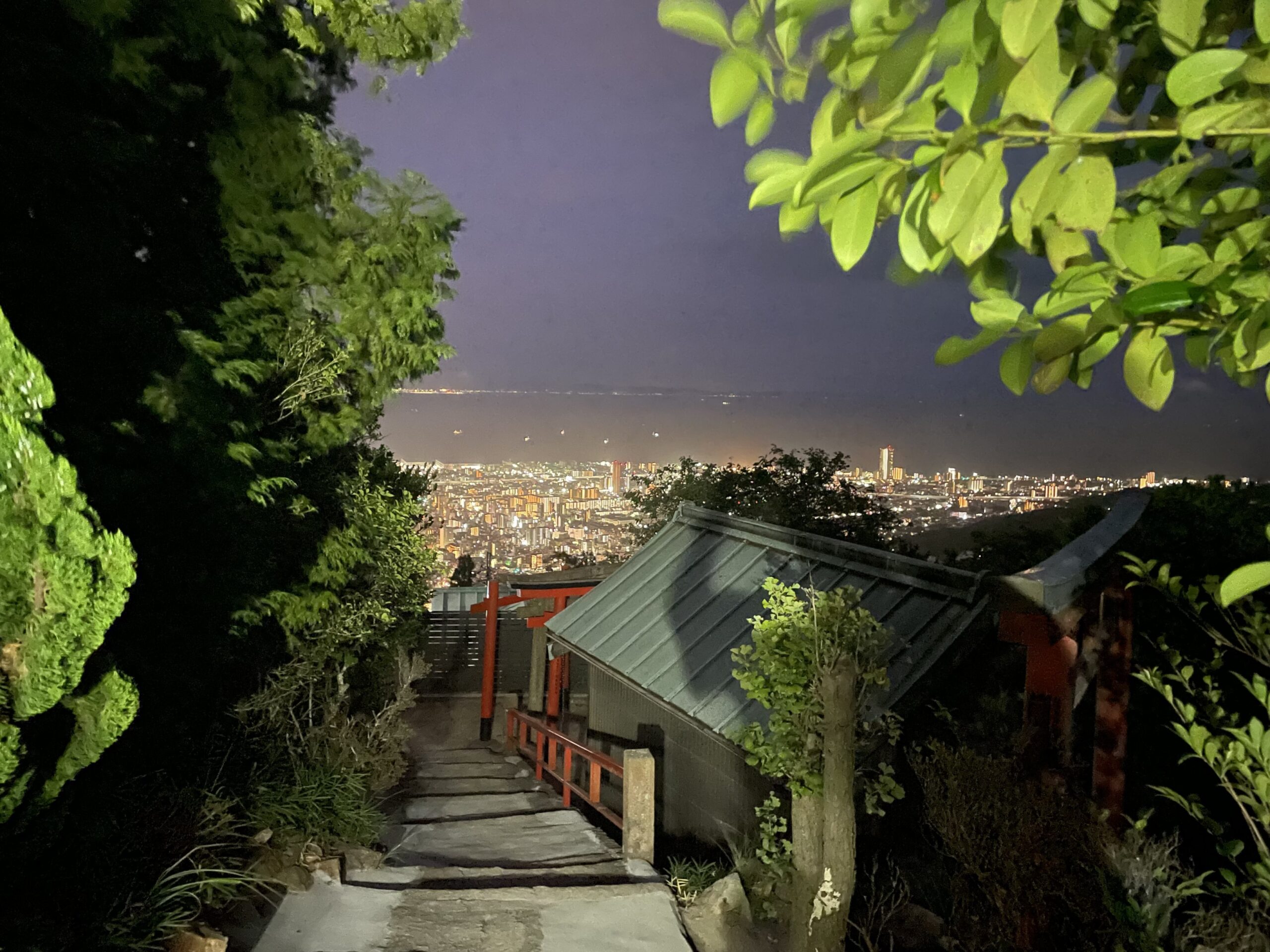 高取山からの夜景