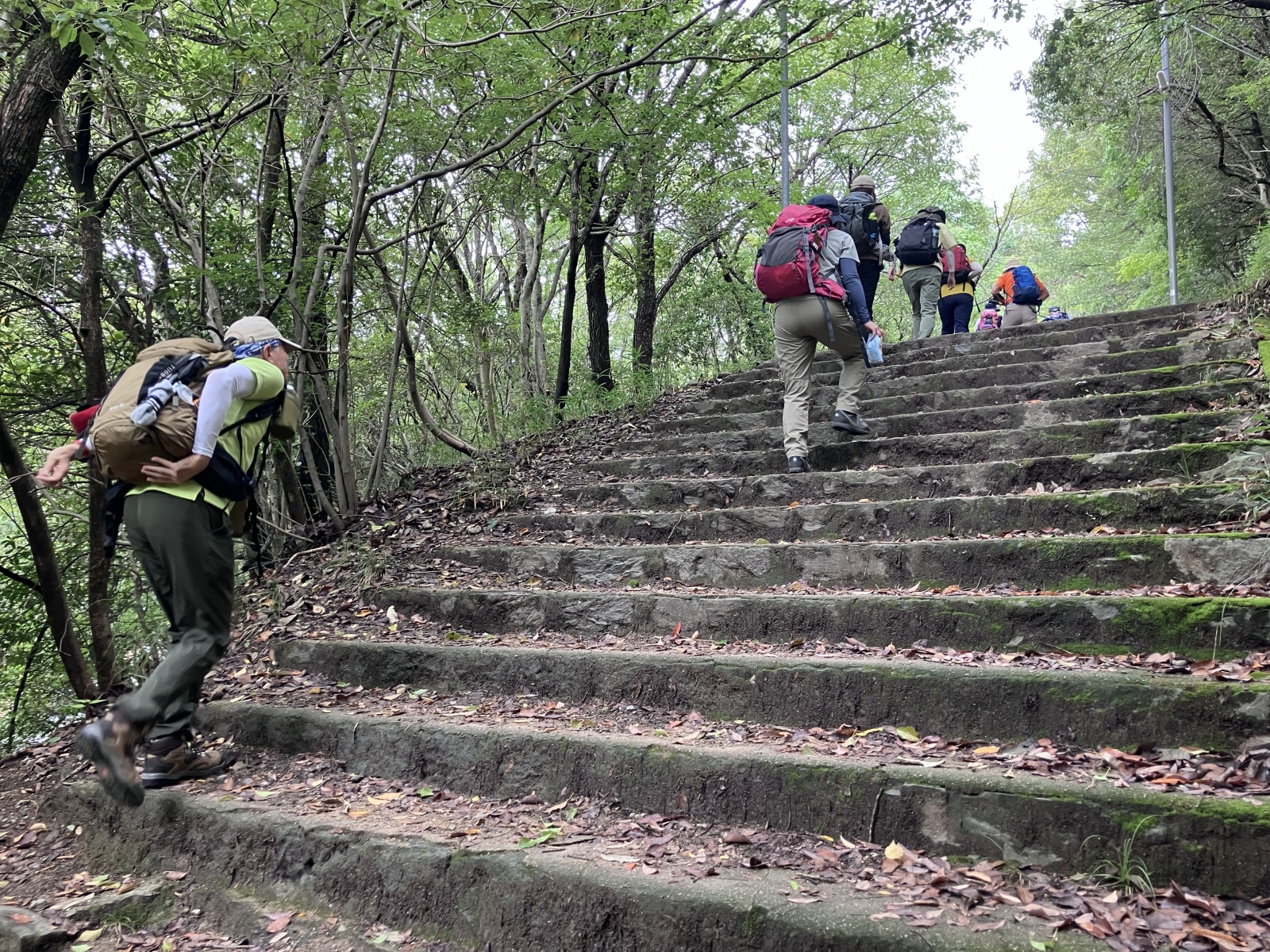 飯野山山頂