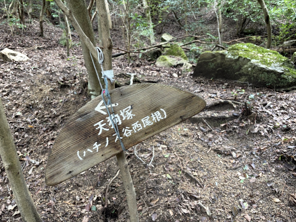 六甲山マイナールートの山行風景