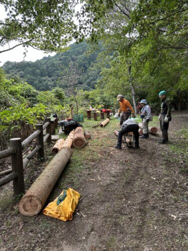森守ボランティア/あじさい広場 2026年9月23日(水)