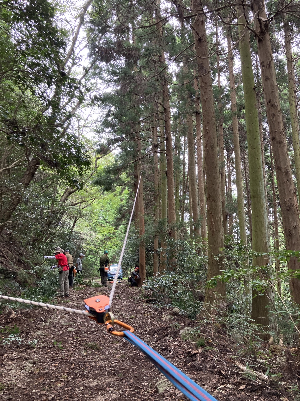 安全を確保しながら行う森林整備