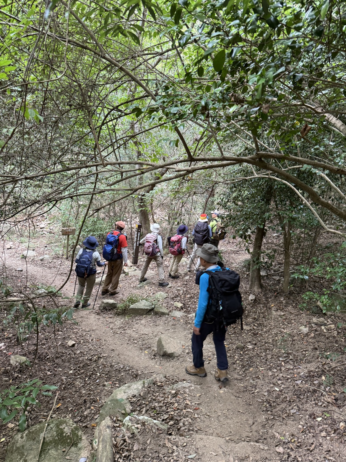 地蔵谷・アドベンチャールート 六甲山系摩耶山702m