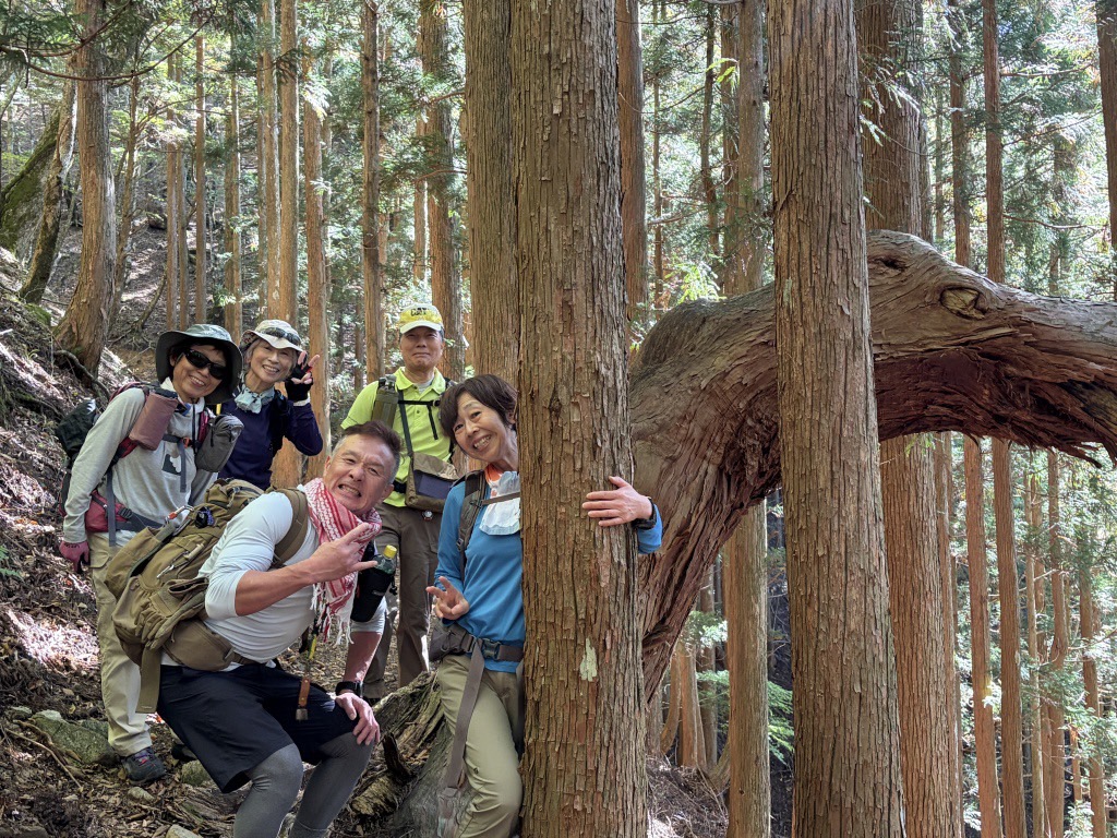 稲村ヶ岳の山行記録・写真2