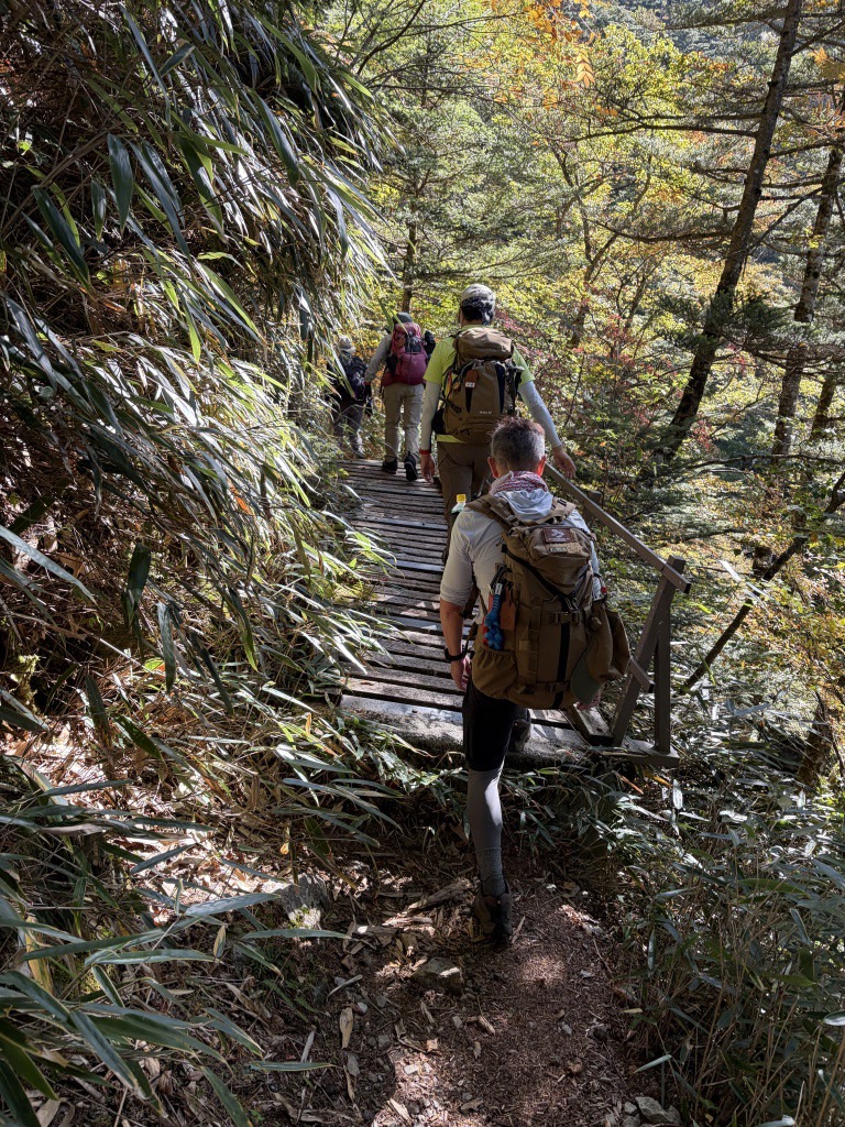 稲村ヶ岳の山行記録・写真3